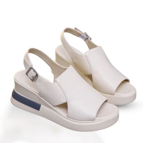 Sandalia ConfortFlex + Regalo Exclusivo Hoy - Big Happy