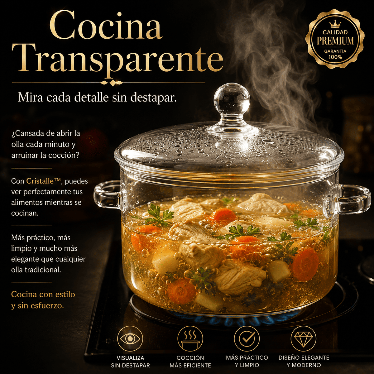 Olla de vidrio con tapa para cocinar caldo
